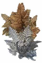 Leather Leaf Fern - Click to Go Back